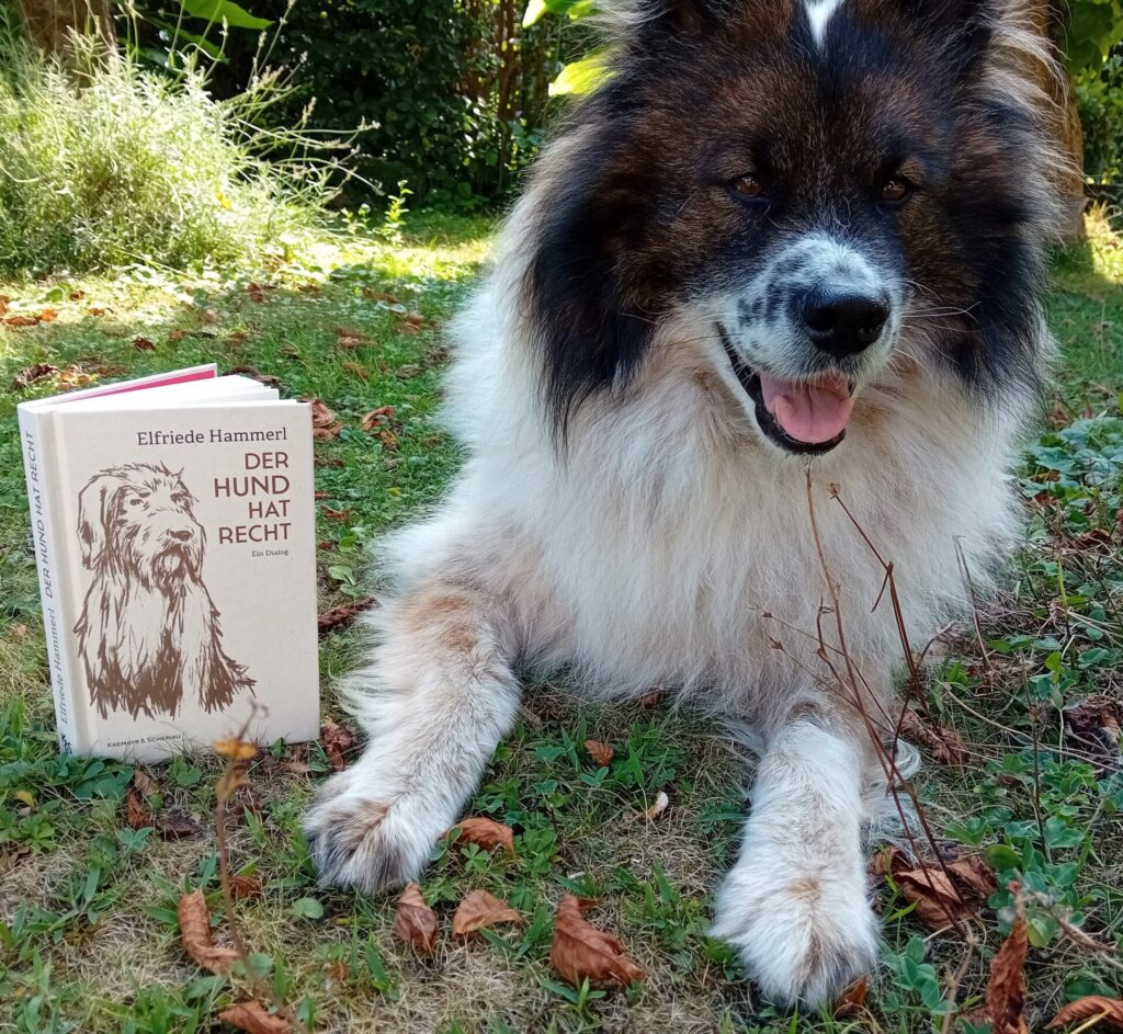 Hund mit Buch
