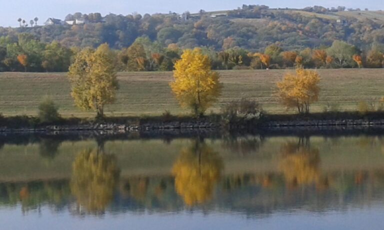 Bäume spiegeln sich im Wasser